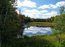 Much of the town is wild national forest land – wooded hills sprinkled with bogs and little lakes, like this one along CTH D.