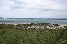 Western Port seen from French Island