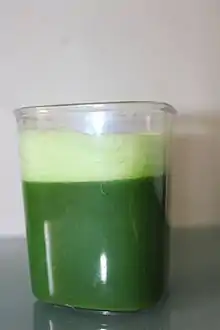 Wheatgrass juice