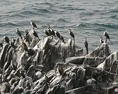 Off the Senegal coast