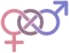 Interlocking gender symbols