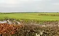 The site of Whitehill Loch looking north.