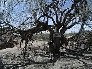 Vulture City Hanging Tree.