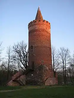 Castle tower