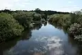 Wieprza River