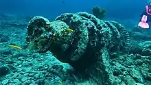 molasses reef winch