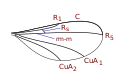 Winnertziini wing veins