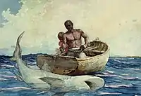 Shark Fishing, 1885