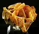 Cluster of translucent, butterscotch-colored wulfenite blades from the Glove Mine, Arizona, US