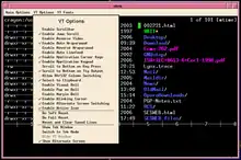 Xterm terminal emulator