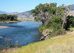 A river flows past grass-covered banks, trees are in the midground