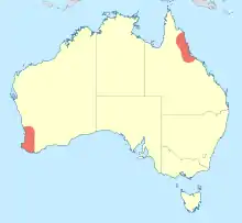 Map of Australia showing presence of Zephyrogomphus in the southwest and northeast