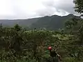 Zip lining