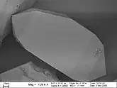 Scanning electron microscope image of zircon