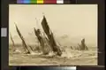 Thames barges reaching on the Thames during a race; they are probably on Gravesend Reach