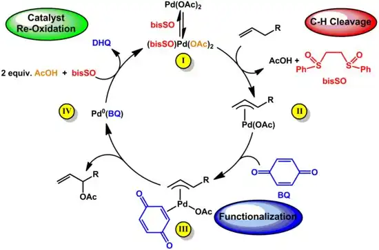 Allylic Esterification Catalytic Cycle