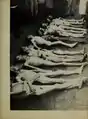 Bodies of prisoners who died of conditions in the camp, p. 41